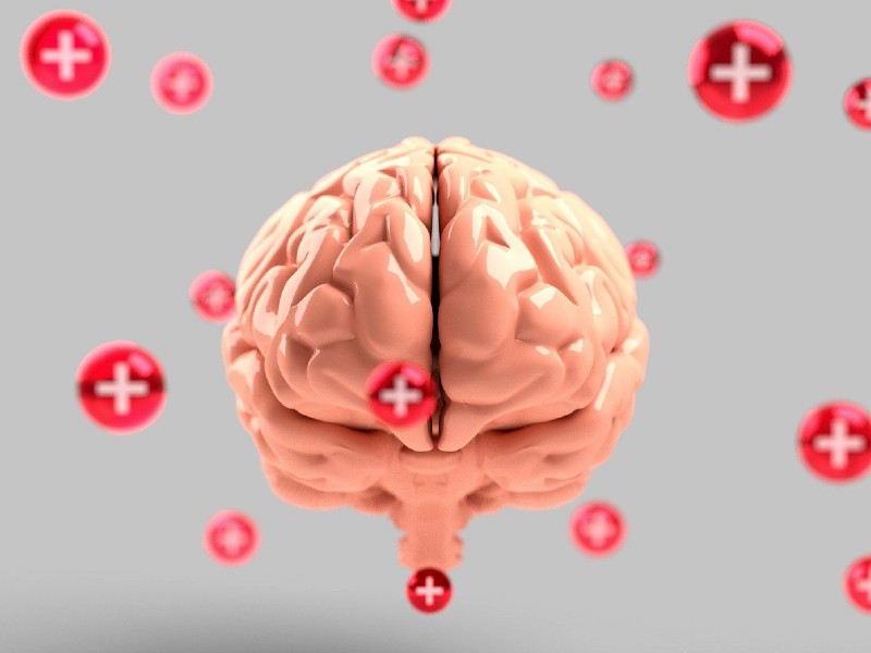 Arte com fundo cinza claro. Ao centro tem a imagem representativa de um cérebro com ícones vermelhos redondos e sinal de positivo ao redor espalhados na imagem